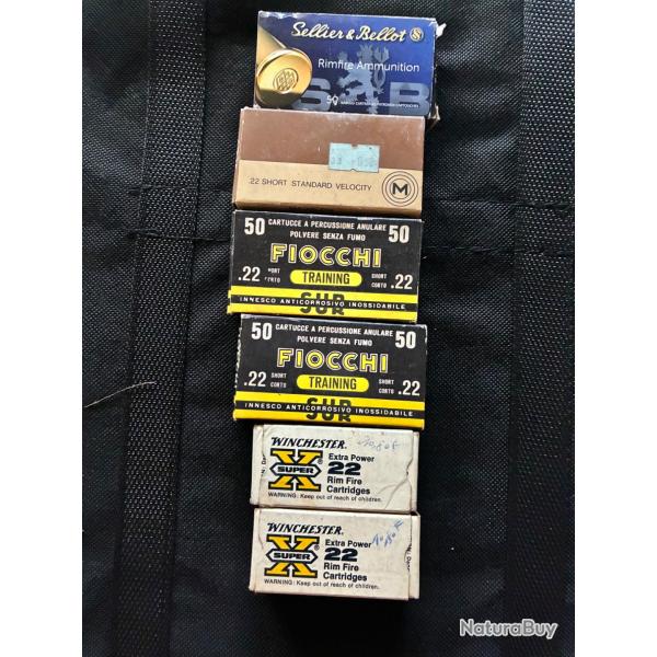 Lot munition 22LR short
