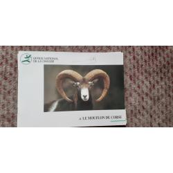 Livret ONC /ONCFS  30 pages le MOUFLON DE CORSE