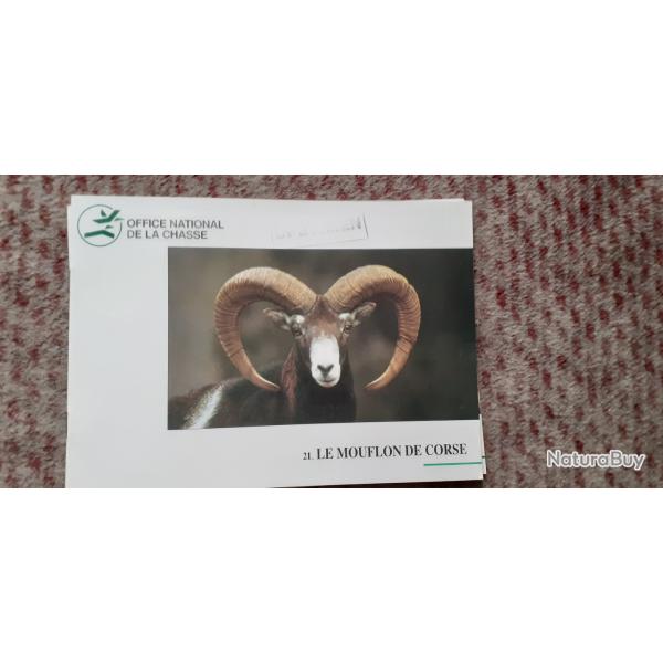 Livret ONC /ONCFS  30 pages le MOUFLON DE CORSE