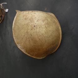 Ebauche de garde de sabre d'abordage en Laiton type Cuill&egrave;re &agrave; Pot 1811