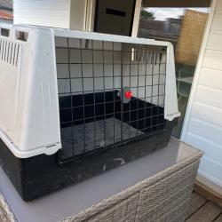 caisse de transport deux chiens