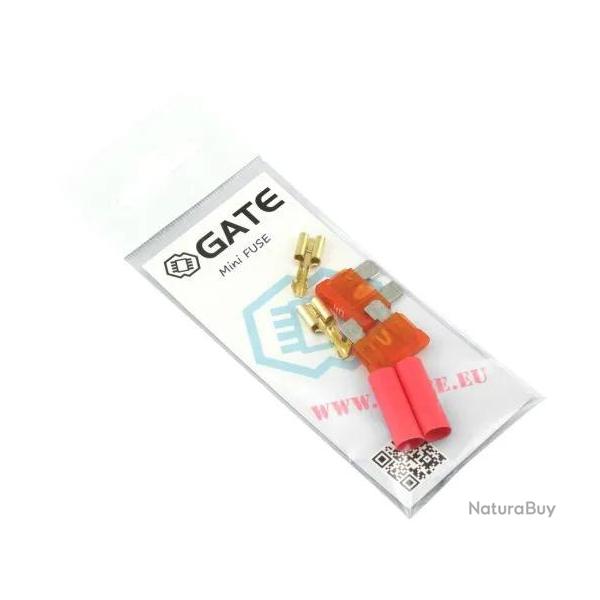 Micro Fuse (2pcs) Gate