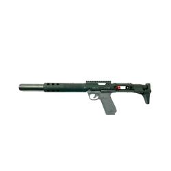Kit de Conversion Assassin pour AAP01 Crosse PDW - Raptor