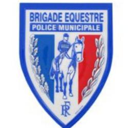 ECUSSON BRIGADE EQUESTRE
