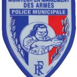 MONITEUR ARMES