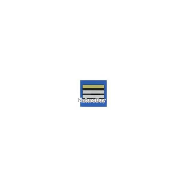 GRADE SOUPLE PM - DIRECTEUR STAGIAIRE