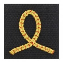 Grade 5 x 5 cm tissu eleve officier