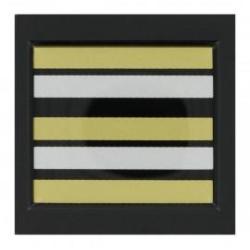 Grade 5 x 5 cm RESINE LIEUTENANT COLONEL MOBILE