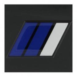 Grade 5 x 5 cm RESINE BRIGADIER CHEF ADJOINT GAV