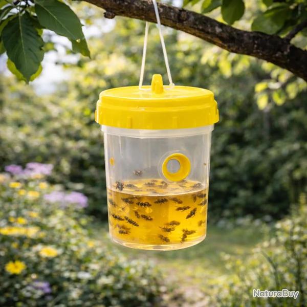 Pi�ge � gu�pe sans produits chimiques en plastique r�sistant