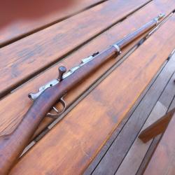 Fusil d'infanterie Mod&egrave;le 1866  " CHASSEPOT"