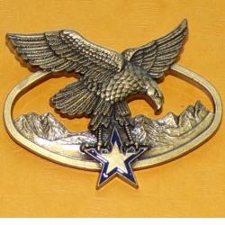 Brevet de Chef d'Equipe de Haute Montagne, 2 pontets, FABRICANT DELSART ,HOMOLOGATION GS 138,&nbsp;ETAT V