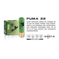 Cartouches MaryArm Puma 22 Cal.28 BJ N&deg;2