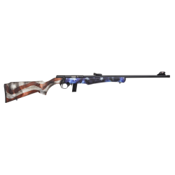 Carabine ROSSI 8122 USA Cal. .22 LR Canon 53 cm Filet&eacute; 10+1 Coups