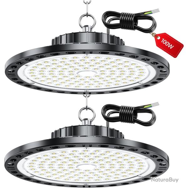 Projecteur LED Industriel - 2 Pack 100W 10000LM High Bay Eclairage Atelier avec Transformateur, IP65