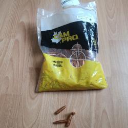 Ogive cam-pro  cal 308 / 30 ,  200gr  FCP