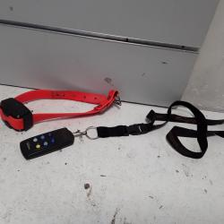 Collier electrique Num axes CANICOM 200 FIRST