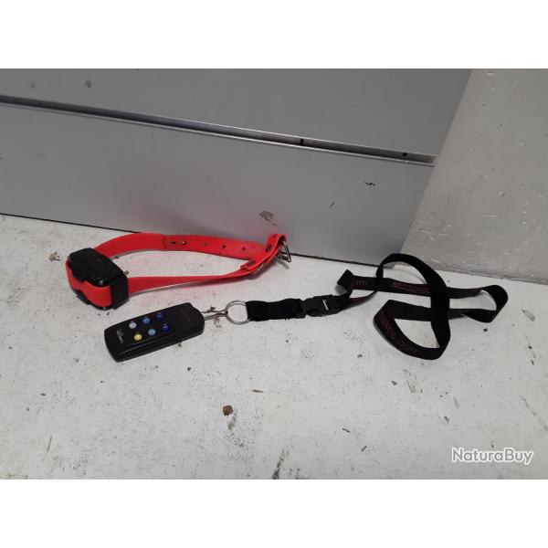 Collier electrique Num axes CANICOM 200 FIRST