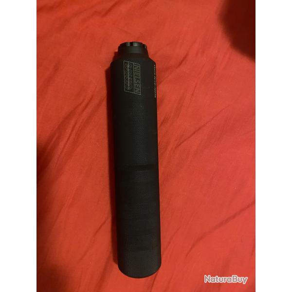Mod�rateur nielsen Sonic paradox