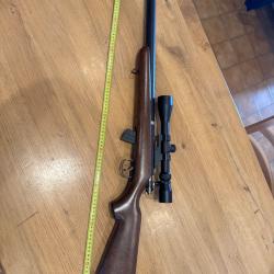 Carabine norinco 22lr