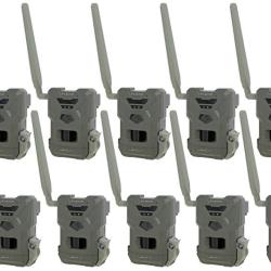 Pack Flex M x10 Spypoint