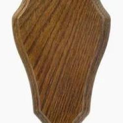 Ecusson ch&ecirc;ne dor&eacute; pour troph&eacute;e chevreuil 23X14CM JANUEL