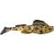 petites annonces chasse p&ecirc;che : Enchère à 1 ! Leurre souple MEGABASS Dark sleeper 4.5 35g Real gobie