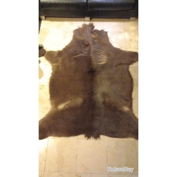 Peau de Cheval 210 sur 140 cm