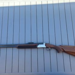 Express rizzini br110