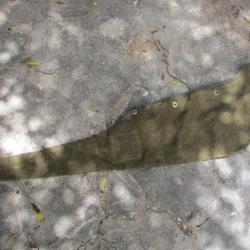housse toile kaki pour  fm francais