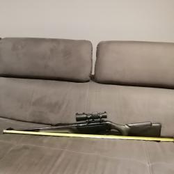 Carabine Benelli Argo Verte 300 Win Mag avec viseur point rouge Aimpoint H34S