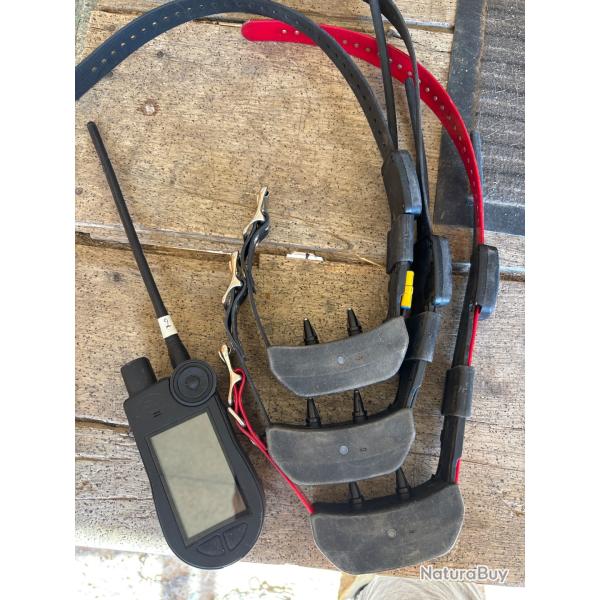 Centrale + collier sport dog