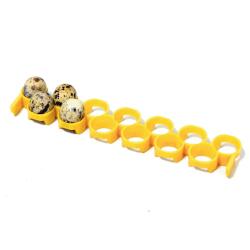 Barrette sp&eacute;ciale caille pour couveuse automatique avec plateau C30 - CIMUKA