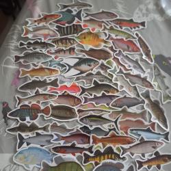 56 autocollants, toutes esp&egrave;ces de poissons