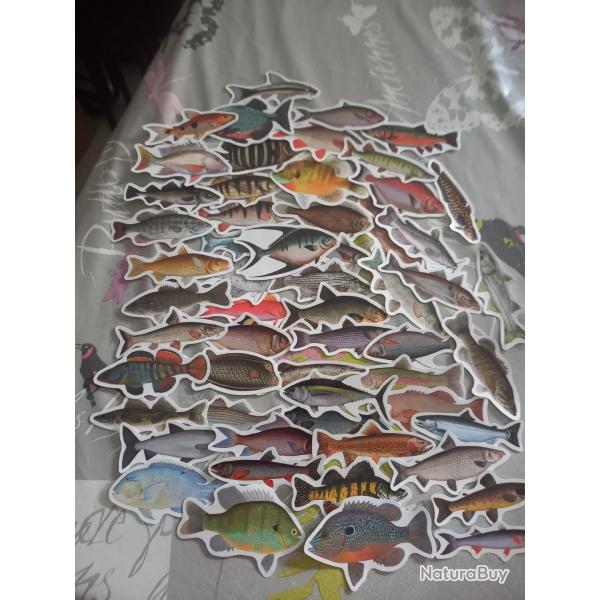56 autocollants, toutes esp�ces de poissons