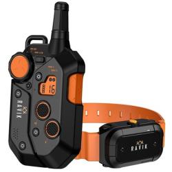 Pack Collier De Dressage ravik RV900
