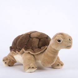 PELUCHE TORTUE TERRESTRE 25cm