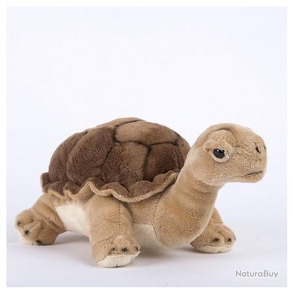 PELUCHE TORTUE TERRESTRE 25cm