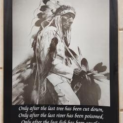Poster indien avec coiffe plume prophecy