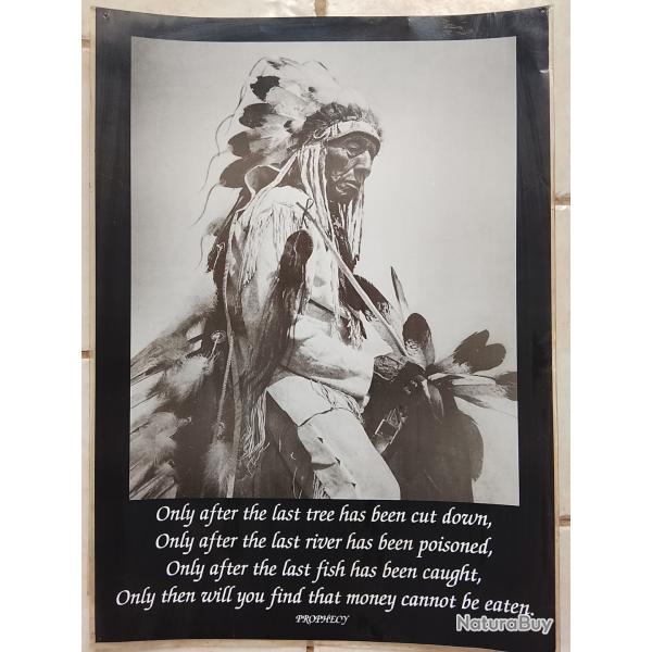 Poster indien avec coiffe plume prophecy