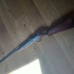 Carabine 410 manu arme