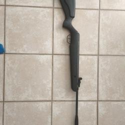 Carabine &agrave; plomb Remington x-press Hunter
