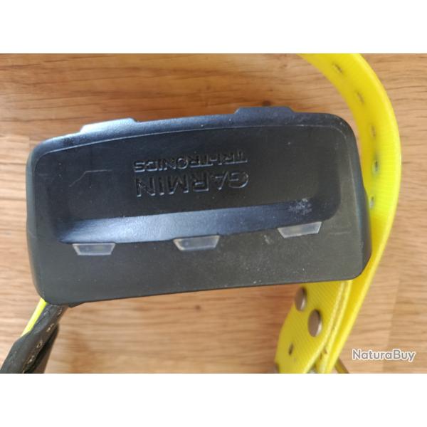 Collier Garmin alpha 10