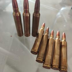 Balles 300 winchester mag norma ppdc