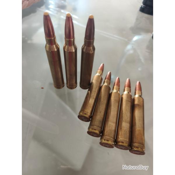 Balles 300 winchester mag norma ppdc