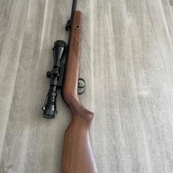 Carabine gamo Hunter 440 ase cal 4.5mm avec lunette 3-9 x 40 WR 19,9 joules