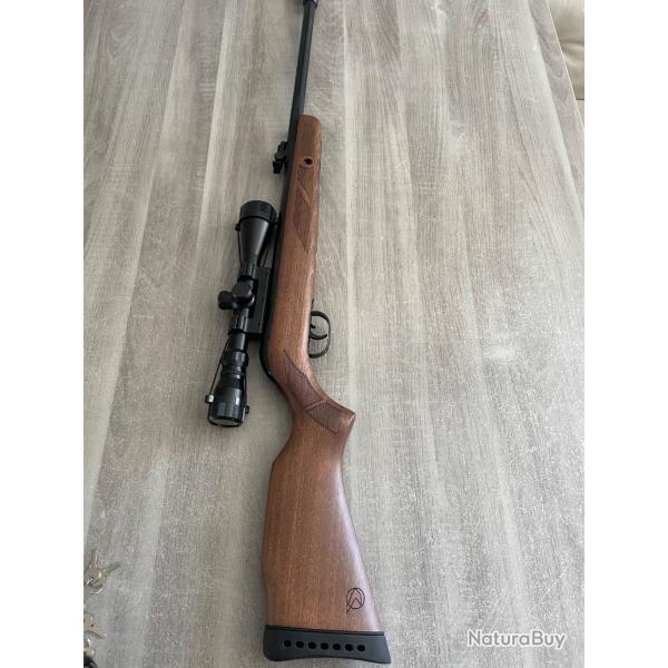 Carabine gamo Hunter 440 ase cal 4.5mm avec lunette 3-9 x 40 WR 19,9 joules