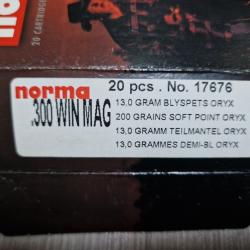 BALLE NORMA 300 WIN MAG