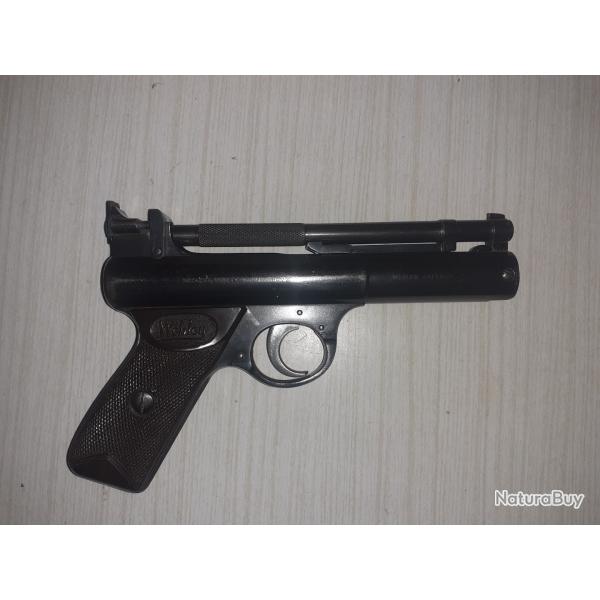 WEBLEY SENIOR