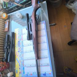 Browning European 300WM